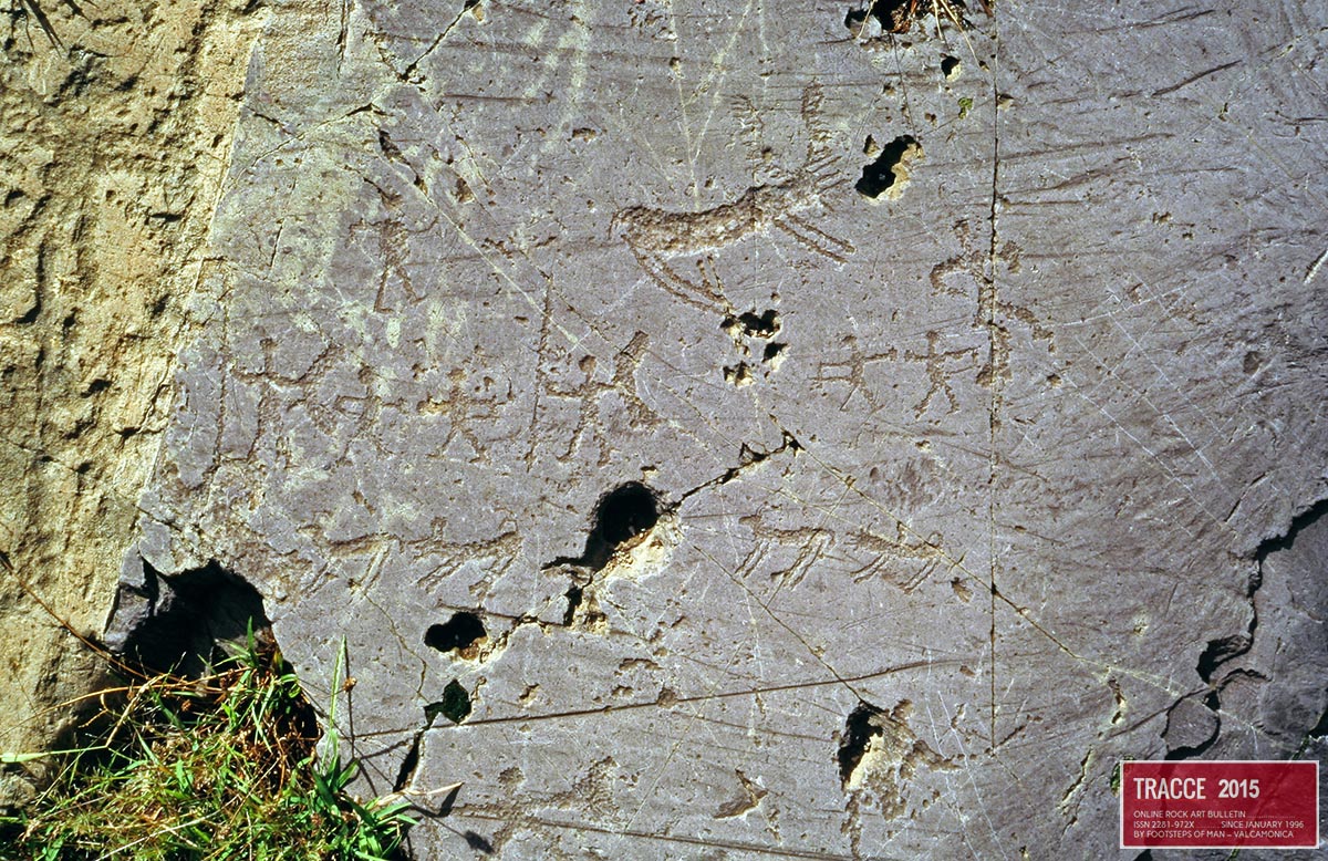 01seradina cervi_duellanti.jpg