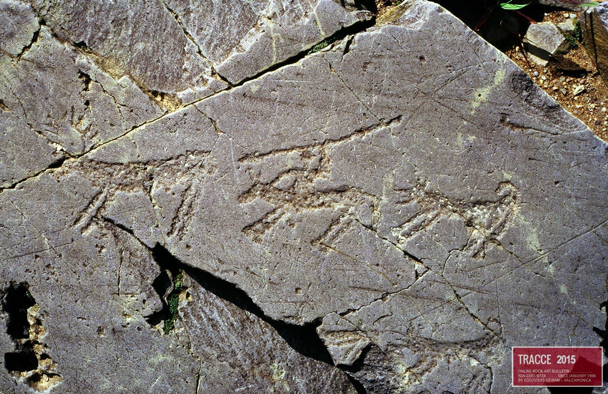 05seradina caccia_cervo.jpg