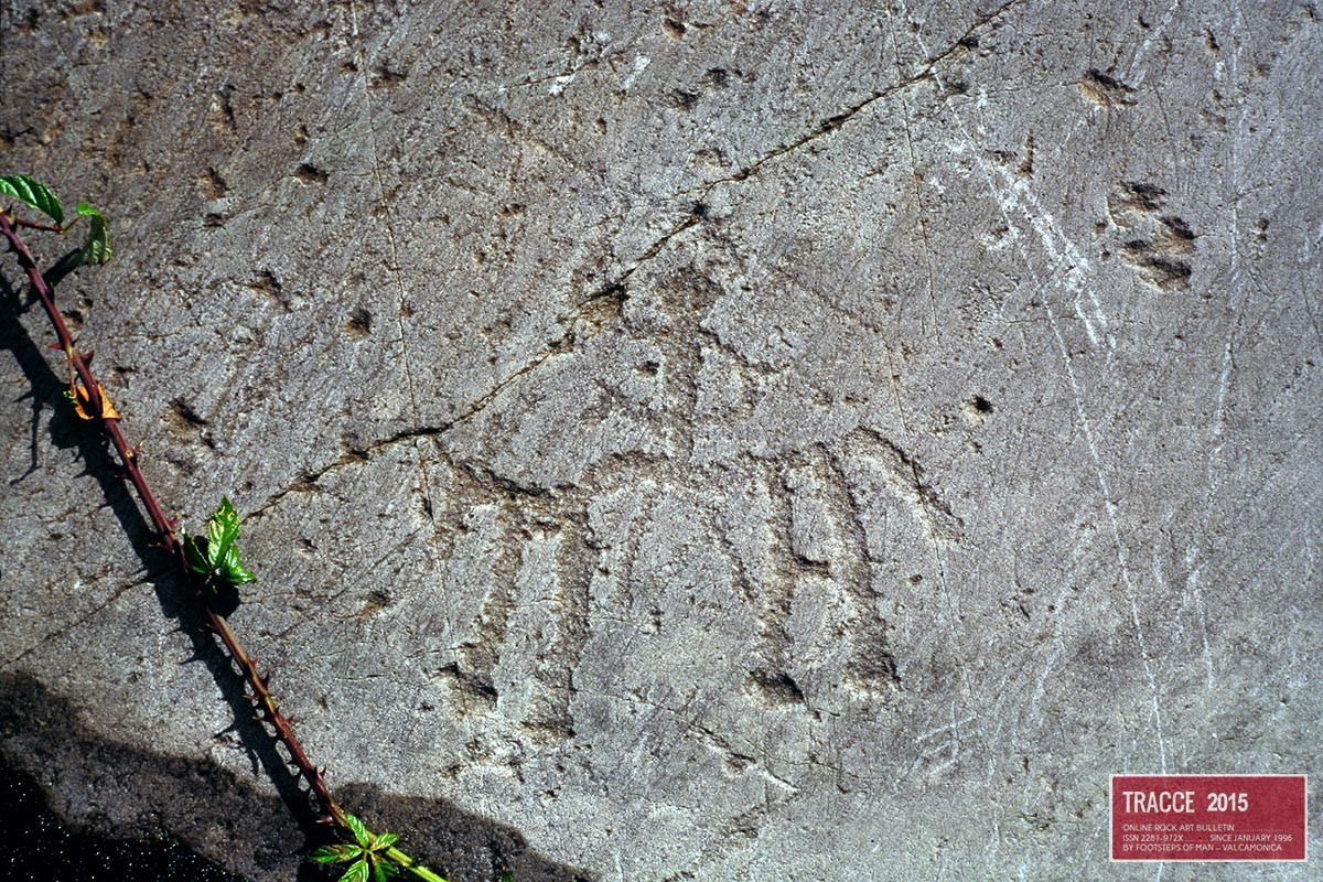 16Seradina_cavaliere.jpg