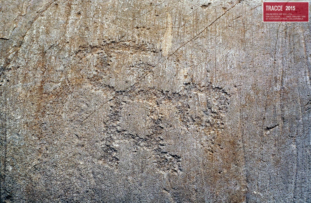 21Seradina_forse_cquadro.jpg