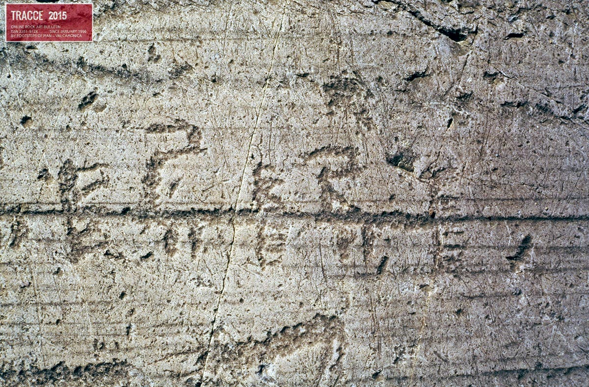 22seradina cani_vert.jpg