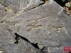 05seradina caccia_cervo.jpg