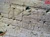 11Seradina_elmi.jpg