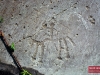 16Seradina_cavaliere.jpg
