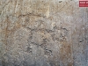 21Seradina_forse_cquadro.jpg