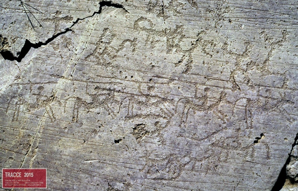 Seradina 12